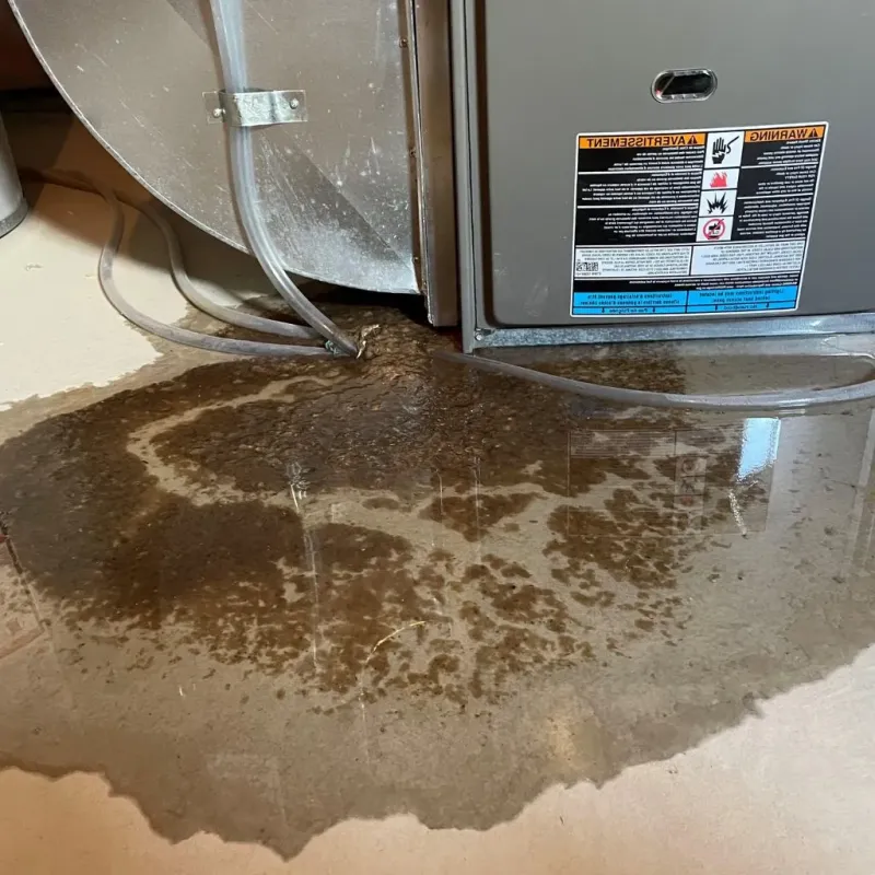 Pipe Burst and Leak Restoration in Clermont County, OH