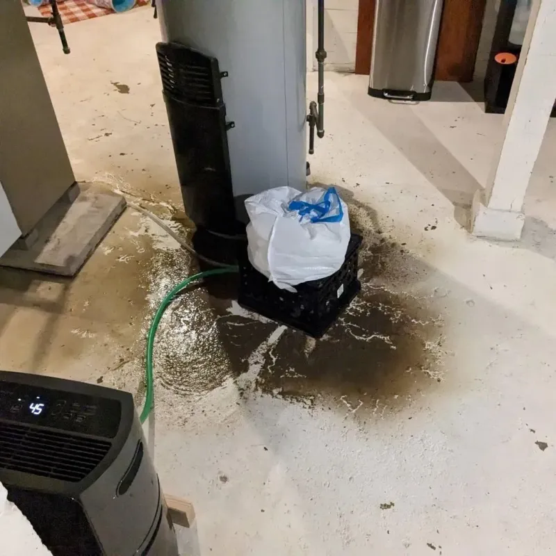 Sewage Backup Cleanup Service in Clermont County, OH